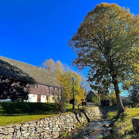 Wildbachidylle Villa Lichtenberg/Erzgebirge Eksteriør billede